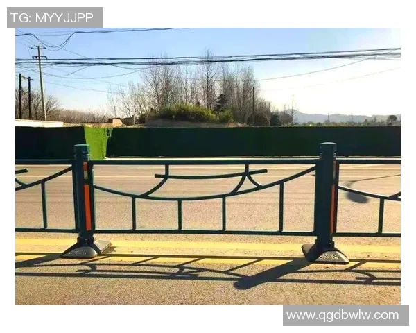 交通护栏在城市交通安全中的作用与设计优化研究