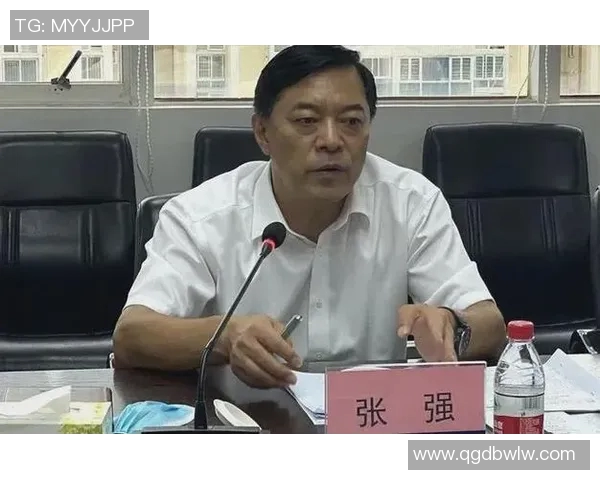 对话羽毛球明星张强回顾辉煌生涯与未来展望