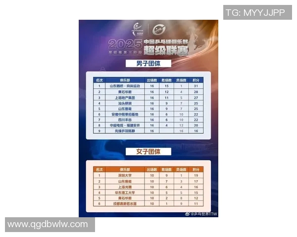 权威发布乒乓球比赛实力与经验综合排行榜揭晓新星崛起与老将争锋