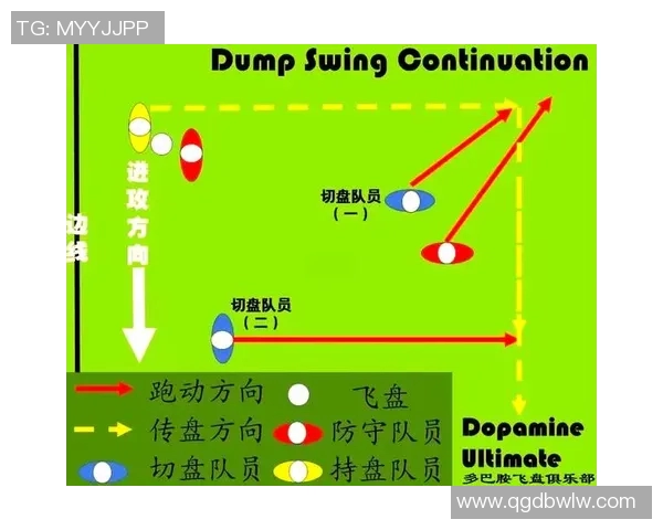 南京飞盘队灵活性分析与战术创新的深度探讨