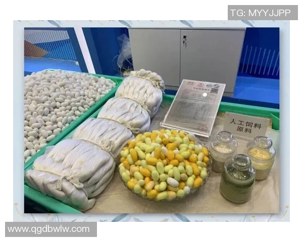 重庆篮球队防守革新之路：从传统到现代的全新转型与实践探索