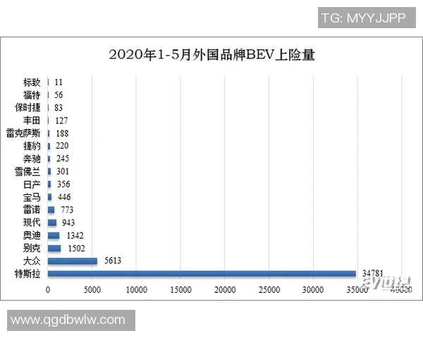 飞鸟健身器材好吗？品牌优势与用户口碑全解析
